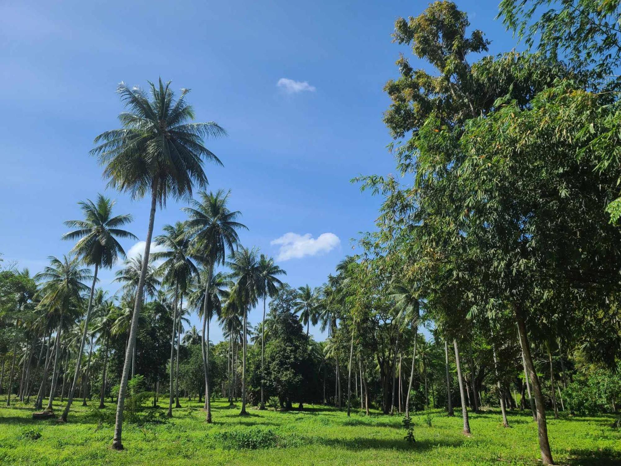 The Secret Garden Homestay Koh Yao Yai Ko Yao 外观 照片
