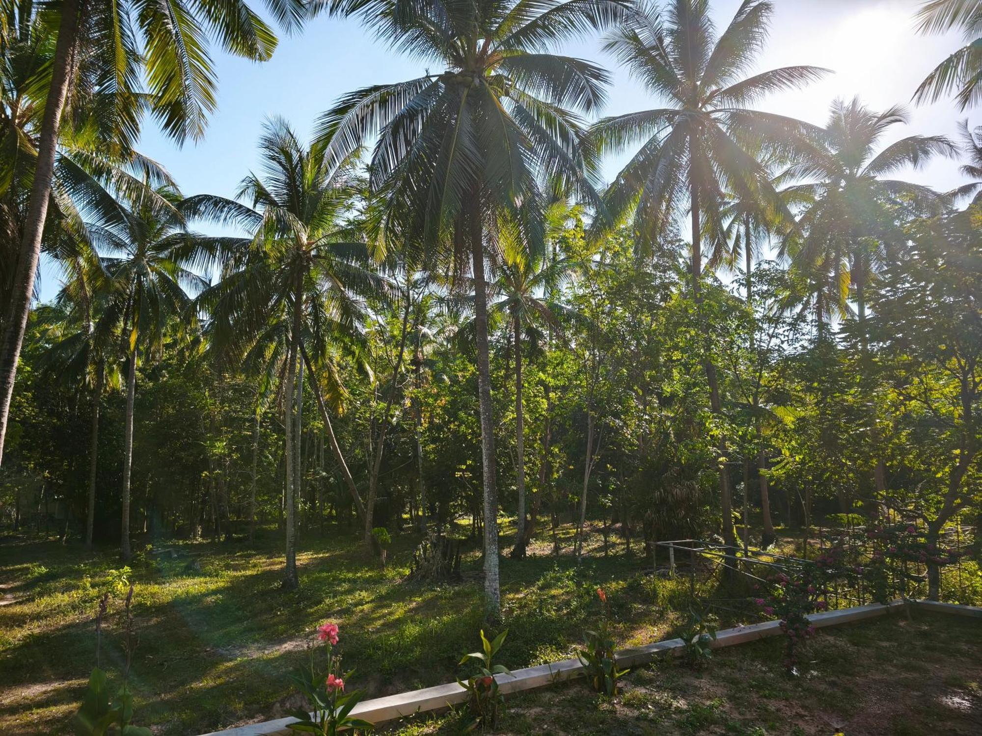 The Secret Garden Homestay Koh Yao Yai Ko Yao 外观 照片
